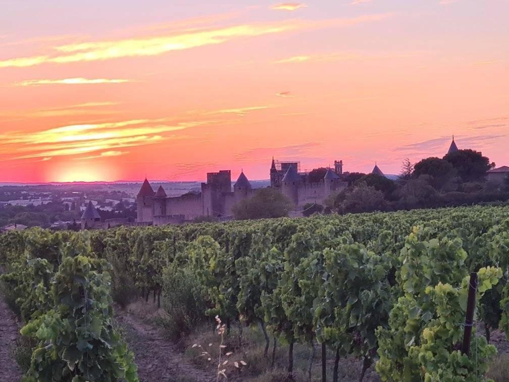 Meuble De Tourisme 4 Etoiles Logis Riquet Proche De Carcassonne Villa Caux-et-Sauzens Eksteriør billede